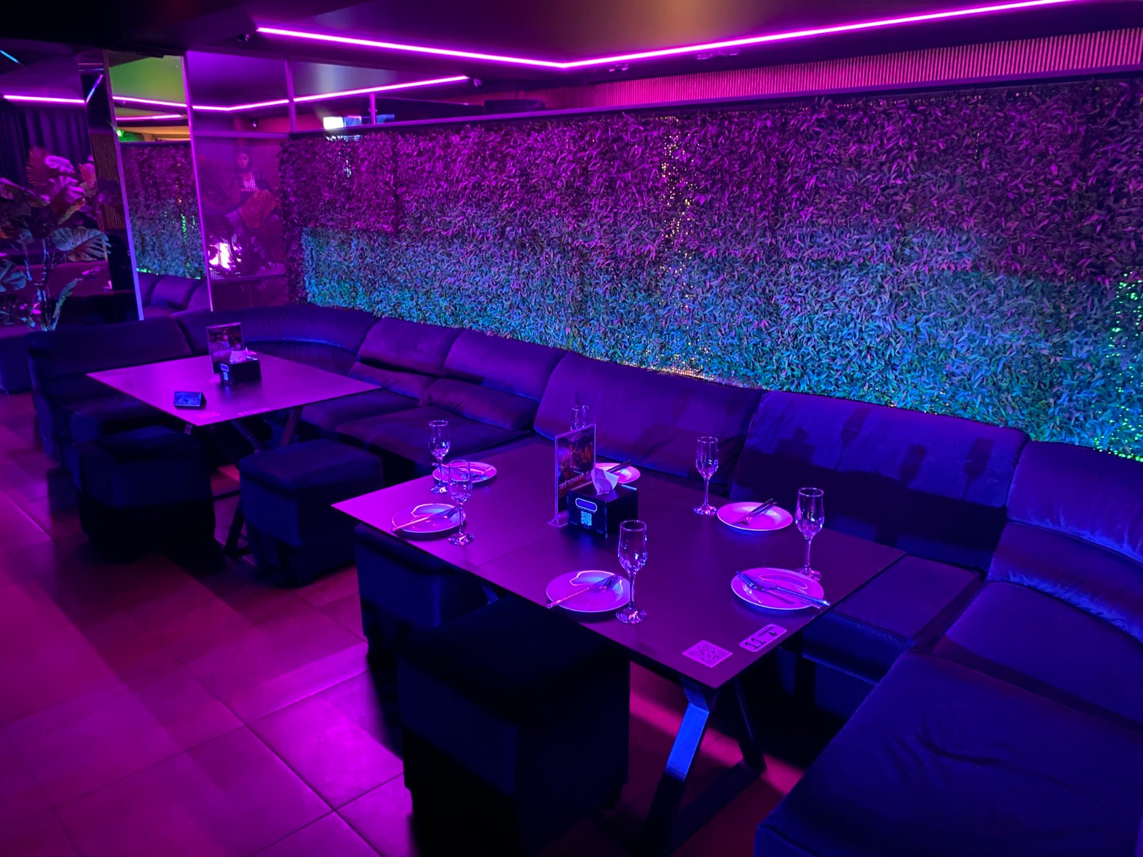 VIP deschis